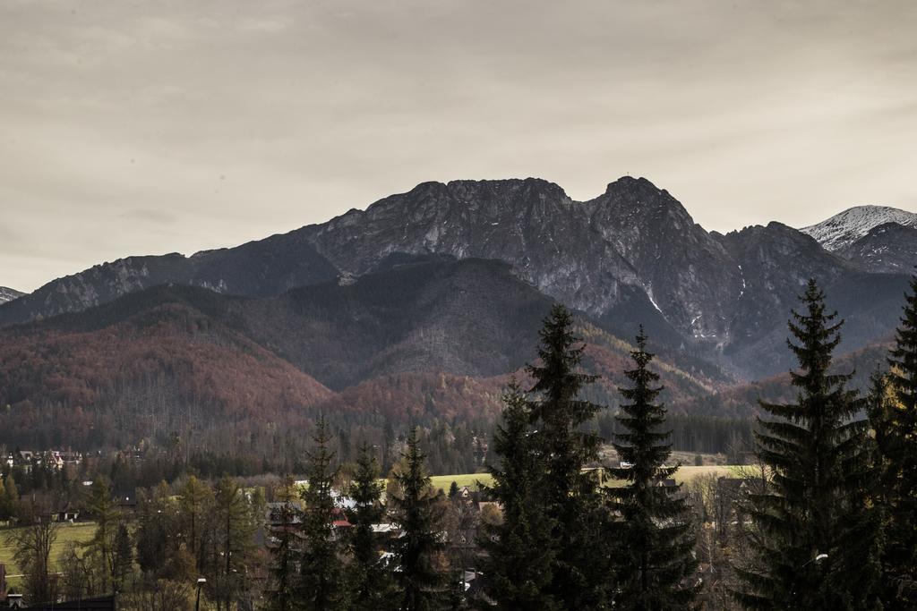 Willa Leluja Zakopane Dış mekan fotoğraf